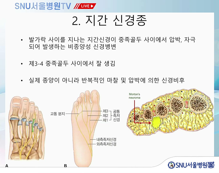 aebb68bebab357159253fc4d88b1d411_1750913954_726.jpg