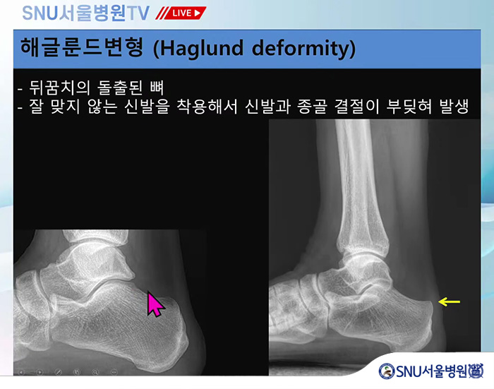 474c46e3ae174562539ef5fbf76a869d_1765415526_1118.jpg 474c46e3ae174562539ef5fbf76a869d_1765415526_1118.jpg